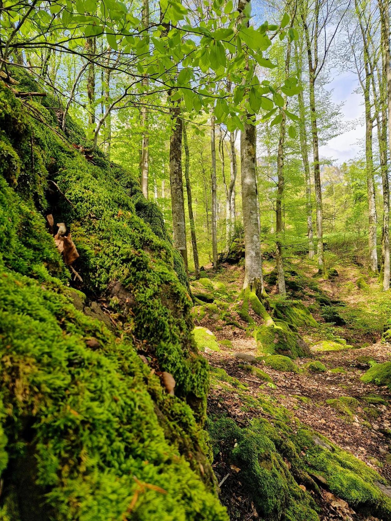 Diese Einfache Unterkunft- Bergheimat Ist Nur Fuer Backpacker- Rucksacktouristen Und Radfahrer - Huettenfeeling Im Backpackerhoues- Ganz Einfach - Ganz Unkompliziert - Ganz Relaxd Vila Linthal Exterior foto